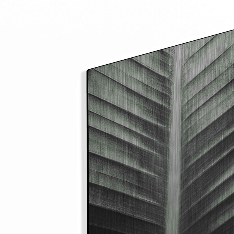 «Leaf Lines» par Donnie Quillen, H 16 po x l 12 po