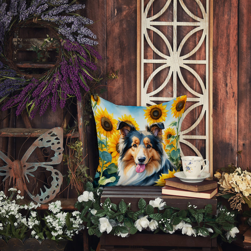 Coussin décoratif intérieur / extérieur Autre / Sans motif, H 14 po x l 14 po