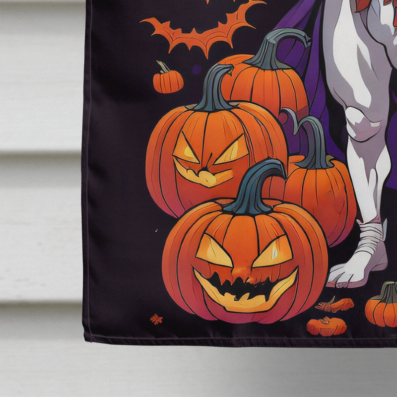 Drapeau blanc du jardin d'Halloween Boxer Witchy, 40 po x 28 po