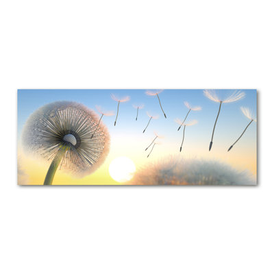 Dandelion - Wrapped Canvas Print