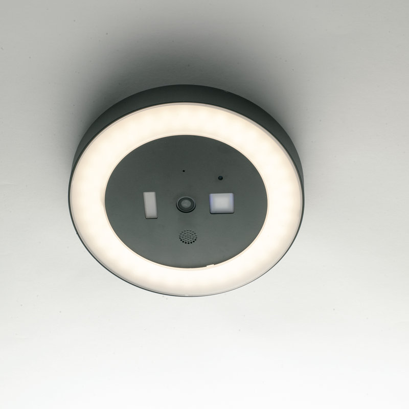 Anthracite LED Outdoor Flush Mount