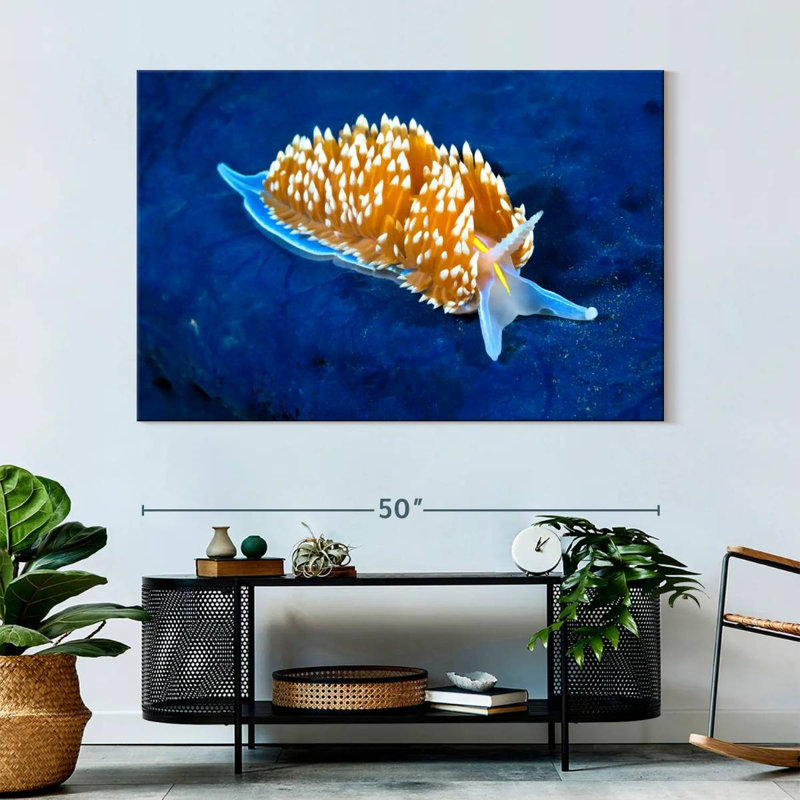 Crowle Glowing Nudibranch, 34" H x 51" W