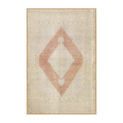 Rosscott Performance Oriental Indoor Rug