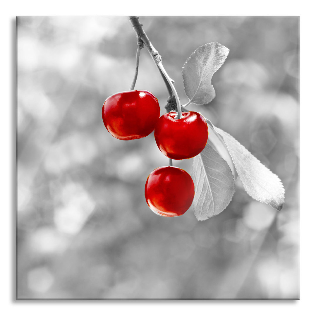 Ungerahmtes Foto auf Glas "Shiny Cherries on a Branch"