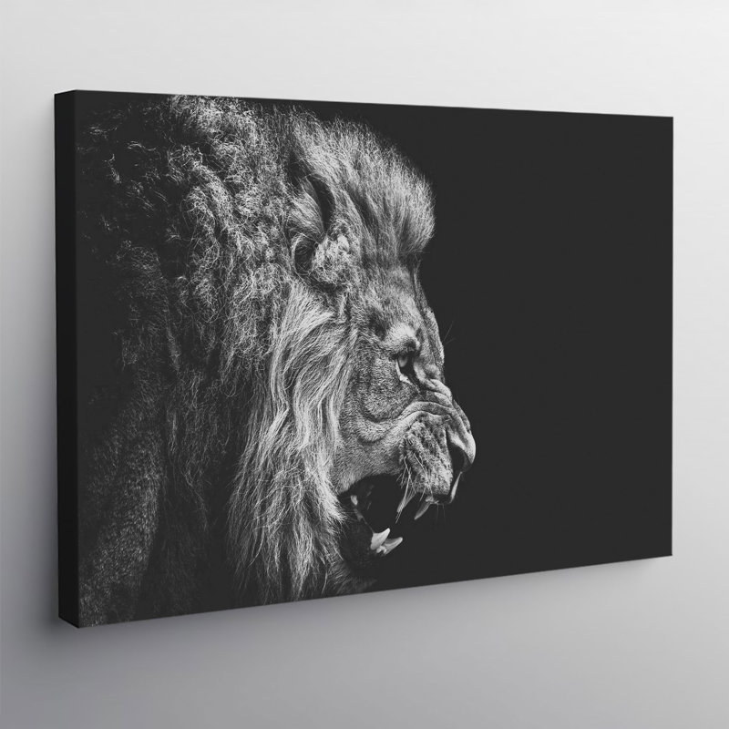 Lion Roar - Wrapped Canvas Print, 41cm H x 61cm W x 3.8cm D