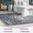 Oriental Indoor Rug