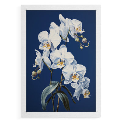 Série FLORAL CLXVI - Impression sur toile seulement - NON CADRE