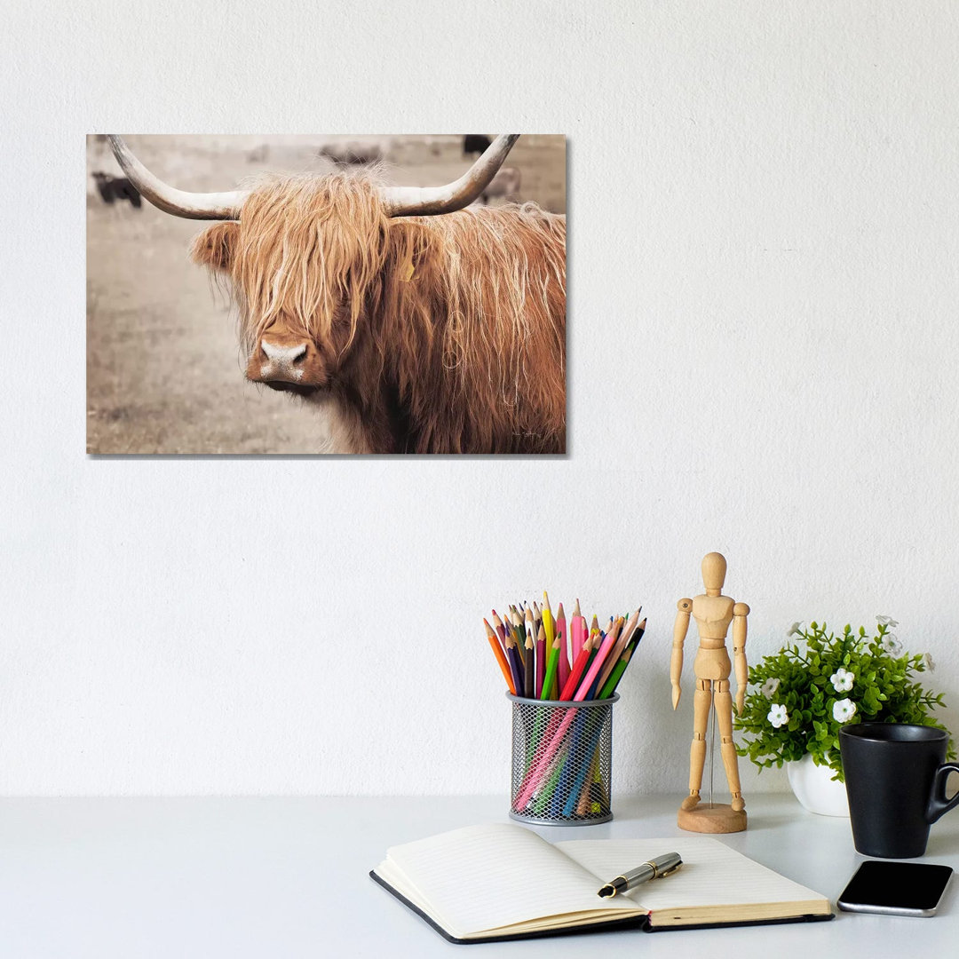Scottish Highland Cattle I Neutral by Alan Majchrowicz - Wrapped Canvas Print