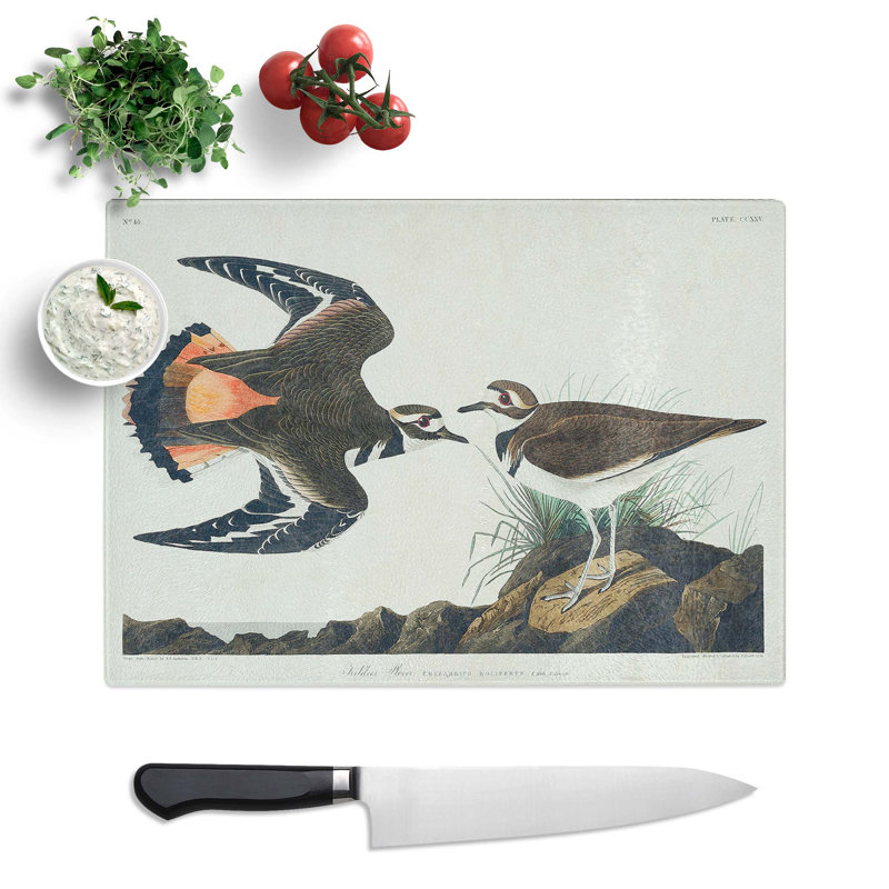 Tempered Glass Kildeer Plover by John James Audubon Chopping Board, 28.5 cm x 20 cm