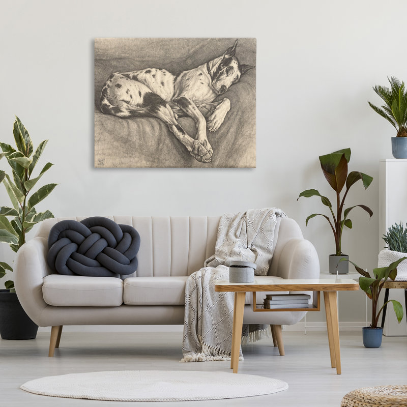 «Sleeping Hound», dessin par Bertha Van Hasselt, H 30 po x l 40 po