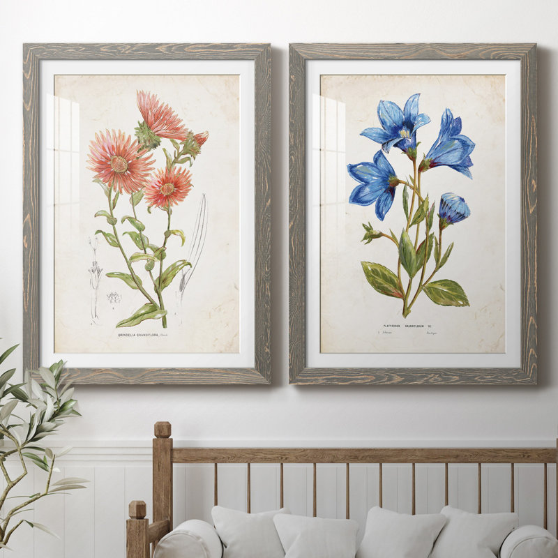 «Botanical I», ensemble de 2 reproductions d'art, Blanc, Cadre en papier gris, H 37,5 po x l 55 po x P 1,5 po