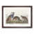 Walnut Framed selected