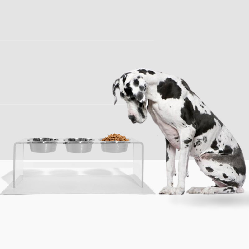 Tall Clear Triple Dog Bowl Feeder with Bowls, Silver