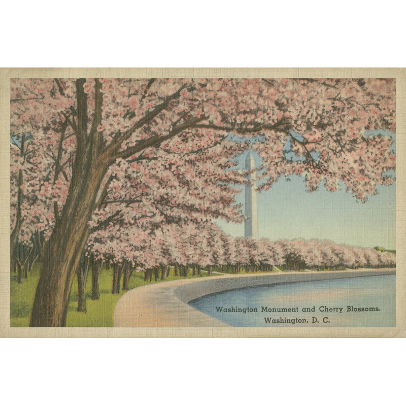 Wash. Monument and Cherry Blossoms 1 Piece Wrapped Canvas Painting, 61cm H x 91cm W