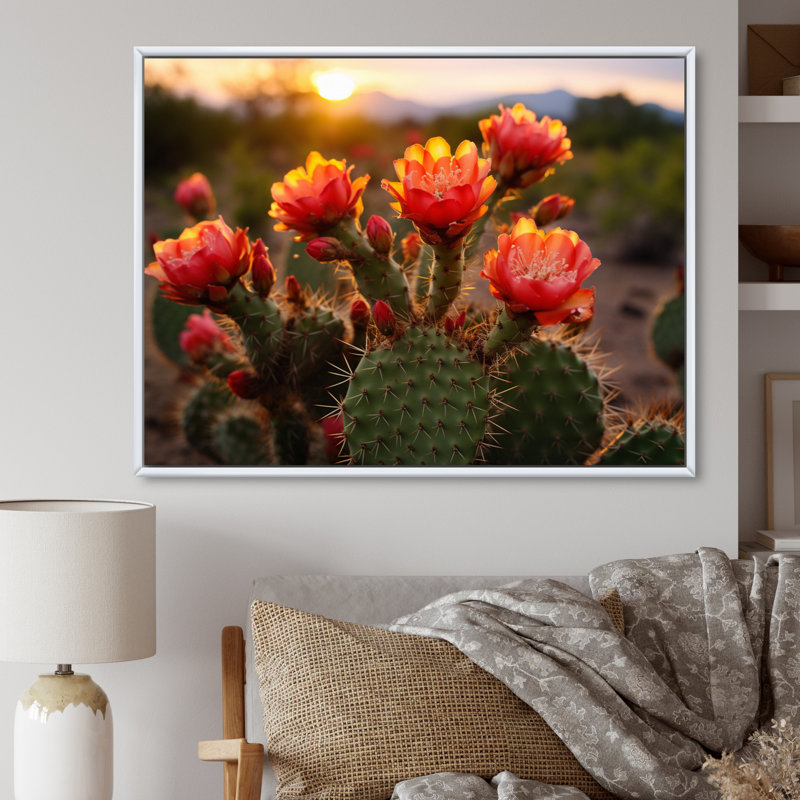 Champ de cactus rouge et vert avec coucher de soleil I - impression, Cadre flottant blanc, H 16 po x l 32 po x P 1 po