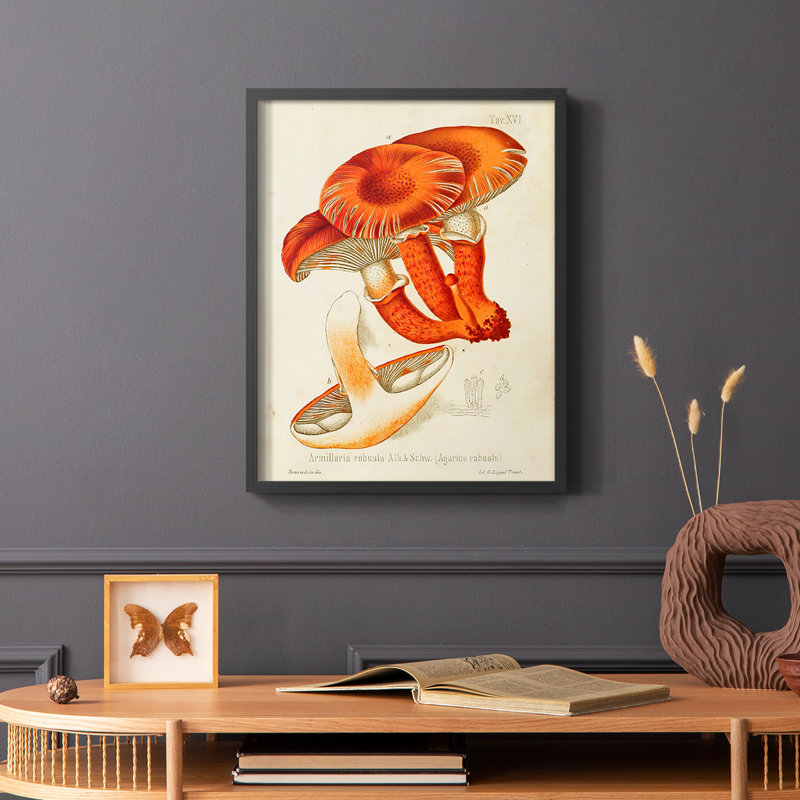 Reproduction encadrée Mushroom Variétés VII - bois massif, H 28 po x l 22 po, Noir
