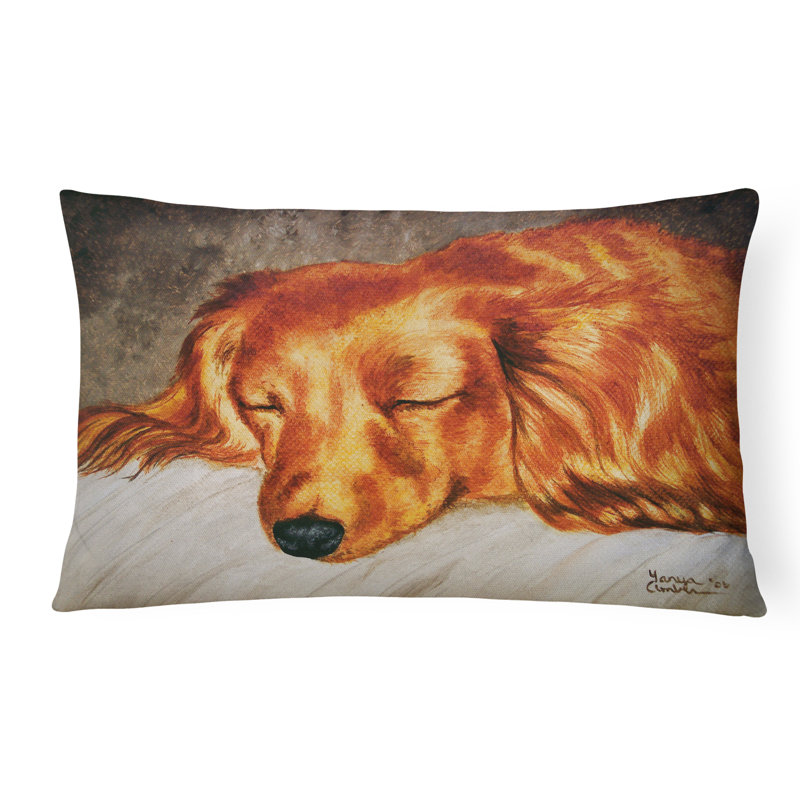  Coussin décoratif intérieur / extérieur à poil long teckel