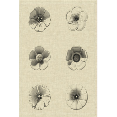 Floral Rosette I by Vision Studio - Wrapped Canvas Print