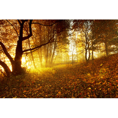Morning Light - Wrapped Canvas Print