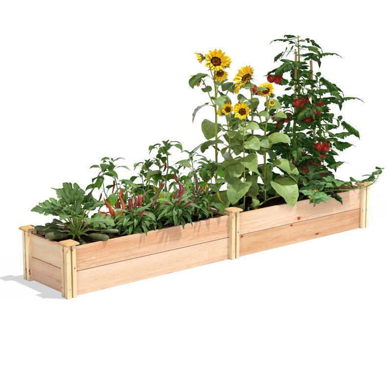 Kendriana Wood Raised Garden Bed, 11" H x 96" W x 16" D