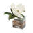 13'' Faux Flowering Branch in Glass Jar