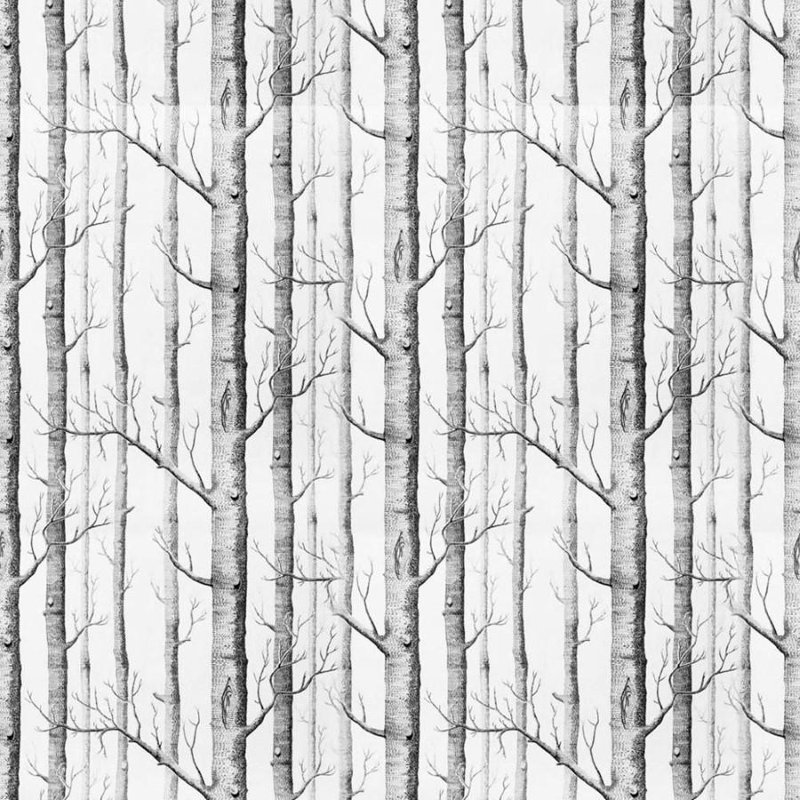 Rouleau de papier peint pelez et collez, L 126 po x l 24 po