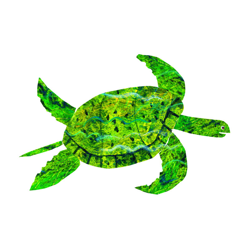 Turtle by Eric Carle - Painting on Canvas, 76cm H x 114cm W