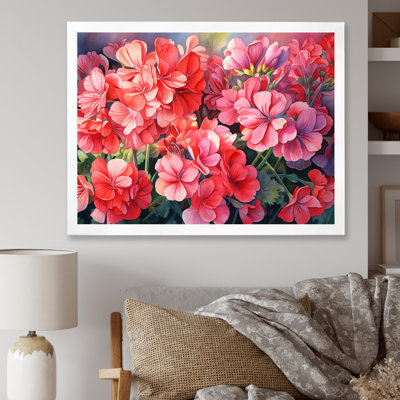Geraniums au coucher du soleil