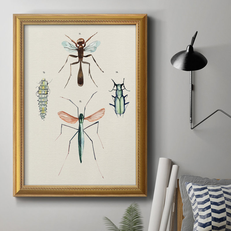 Variétés d'insectes III - Variétés d'insectes III - Reproduction, H 20 po x l 16 po x P 2,5 po