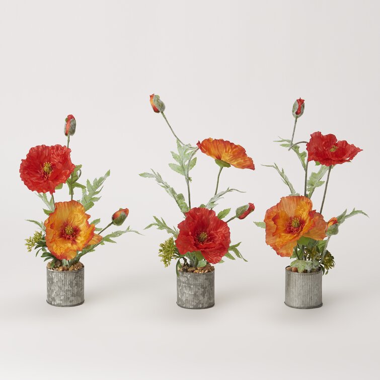 Set Of 3 Poppies In Round Tin Planter