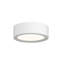 Reals 1 - Light LED Flush Mount-1116209564