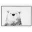 Bear Print by Jess Engle