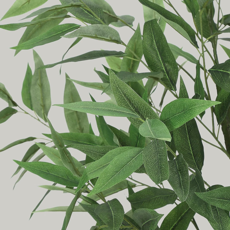 122cm Plant