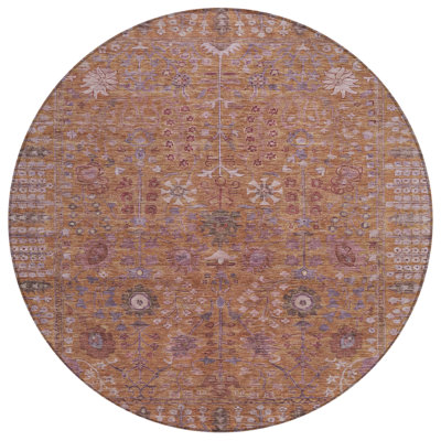 Machine Washable Indoor/Outdoor Kaczor ACN2231 Global Rug