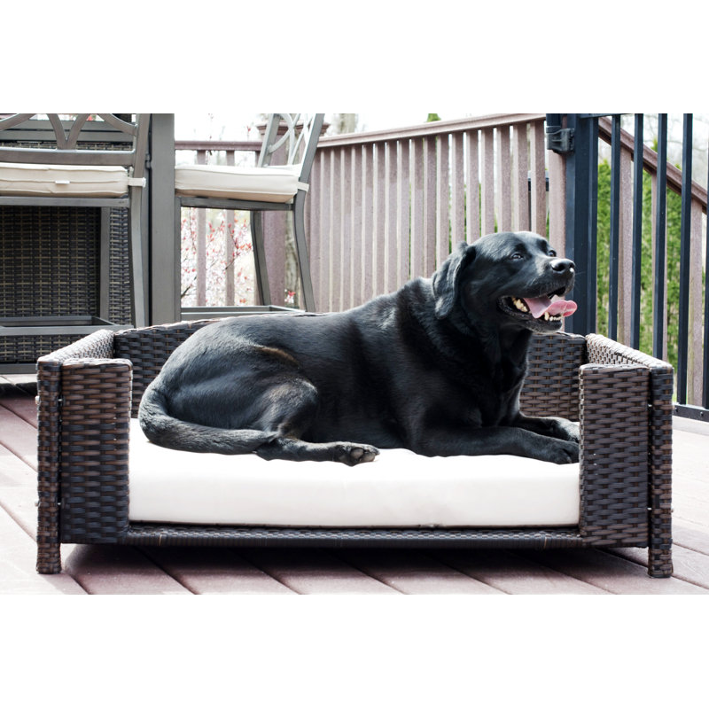 Canapé pour chien en rotin Cristobal, Moyen (l 35 po x P 23,5 po x H 12 po)