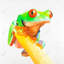Toile avec une grenouille aux yeux rouges curieux | Décoration de chambre verte reptile