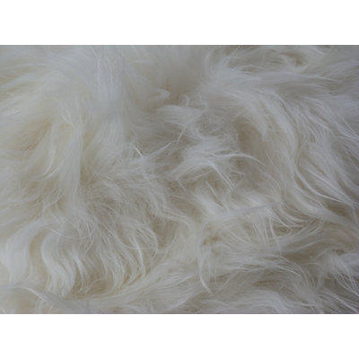 Kearney Solid Colour Sheepskin Area Rug