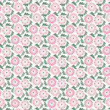 Fruit of Wine 10' L x 24" W Wallpaper Roll