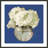 " White Hydrangeas I " by Emma Scarvey Painting Print-1180489754-1089876456