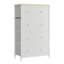 Adeoye 5 - Drawer Chest of Drawers-1306266944