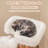 Solid Wood Cat Tree With Perch Natural Jute Scratching Posts Dangling Ball