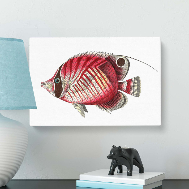 Butterflyfish by George Shaw - Wrapped Canvas Painting, 40cm H x 60cm W x 3cm D