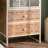 Multi-Purpose Metal and Wood Storage Cabinet