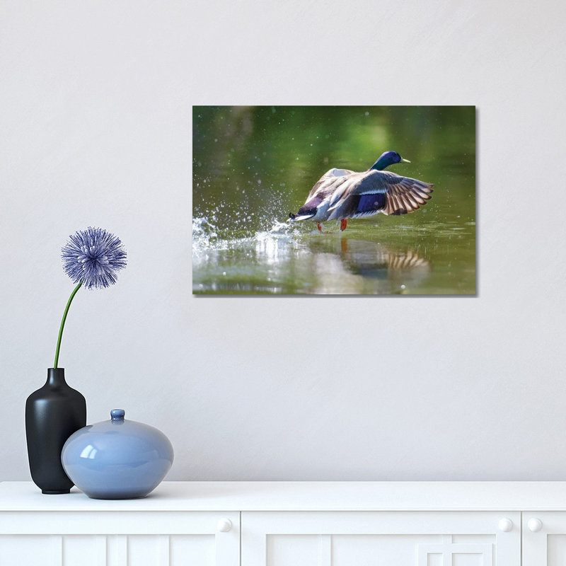 Lift Off by David Gardiner - Wrapped Canvas Print, 30.48cm H x 45.72cm W