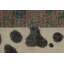 One-of-a-Kind 8'2" X 9'11" Hand Knotted Area Rug