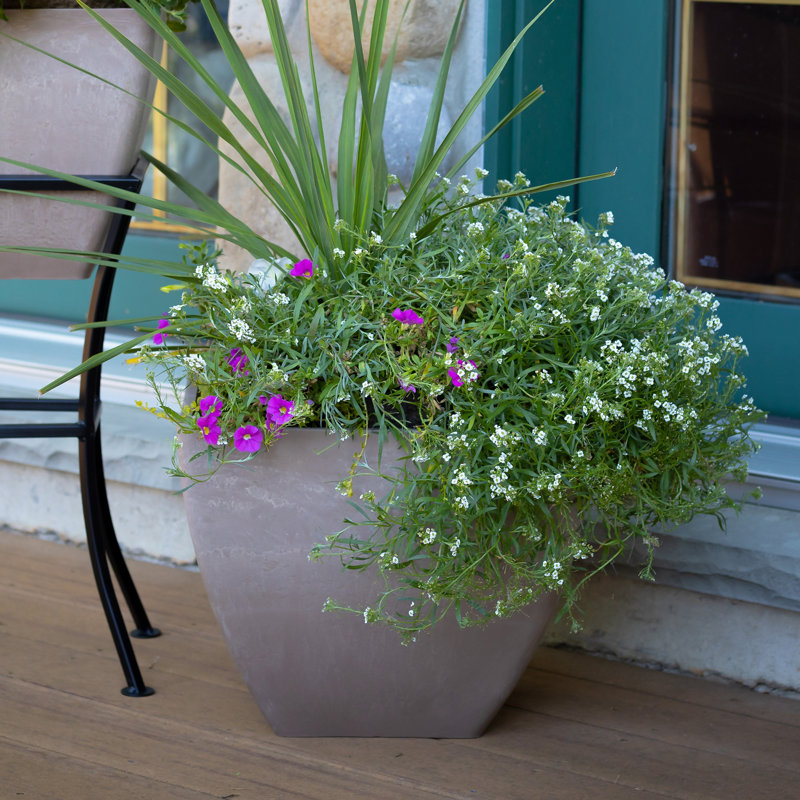 Mary Pot Planter, 13" H x 16" W x 16" D, Oak