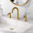 Widespread Bathroom Faucet with Drain Assembly-61067198