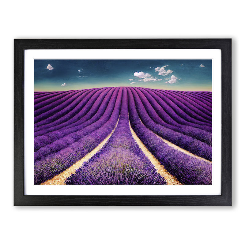 Eccentric Lavender Flower Field - Single Picture Frame Print, 46cm H x 64cm W x 2cm D, Black Frame