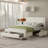 Upholstered Platform Storage Bed-1928911596