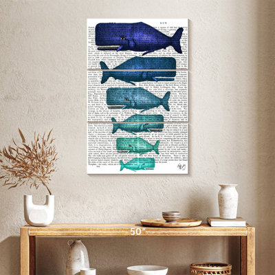 Famille de baleines bleues Brampt